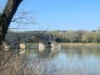 IMG 4565